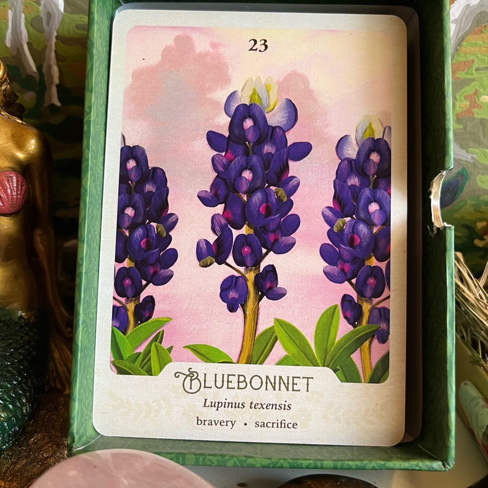 The Southern Gothic Botanical Oracle ✨🥀 - Picture 5 of 6